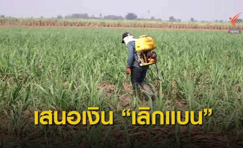 "ไทยแพน" เผยมีกลุ่มทุนเสนอจ่ายเงิน 9 หลักเลิกแบนพาราควอต