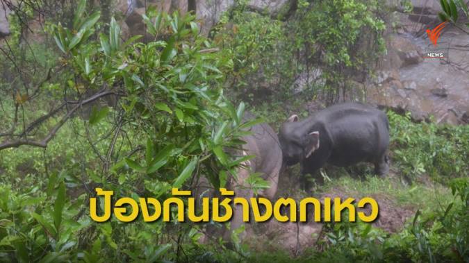 เจ้าหน้าที่อุทยานฯ เดินหน้าแผนป้องกันช้างป่าเขาใหญ่ตกเหวนรกซ้ำ