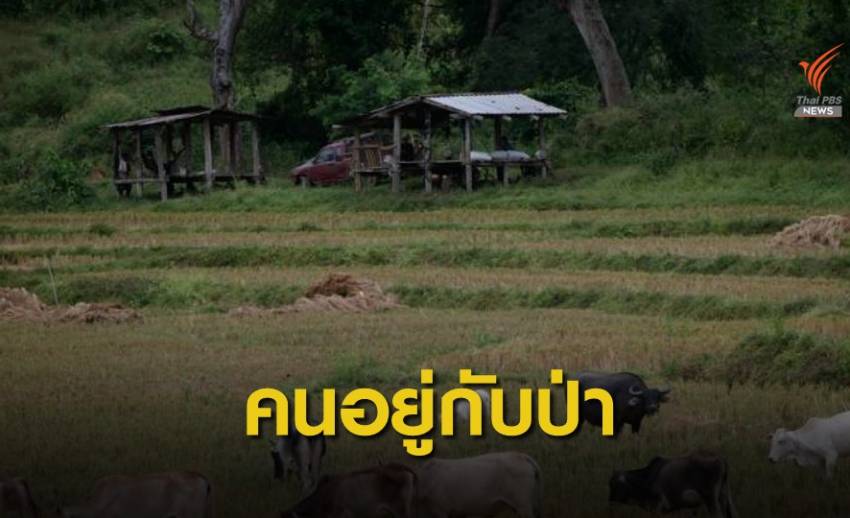 ไฟเขียวกฎกระทรวง 2 ฉบับรับ "ป่าชุมชน" ให้สิทธิทำกินในป่า