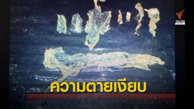 “ธรณ์” กร้าวแบนถุงพลาสติก วอน “มาเรียม” เหยื่อตัวสุดท้าย