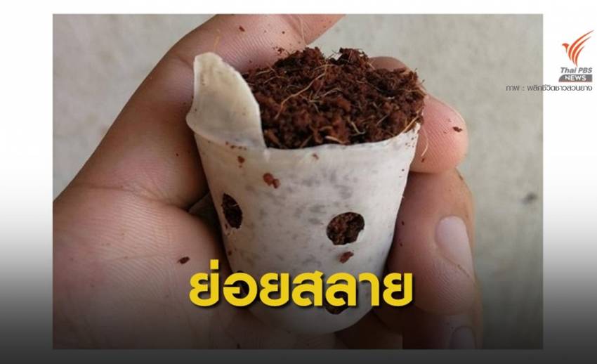 มองโกเลีย เล็งใช้ "ถุงเพาะชำชีวภาพ" จากไทยพลิกฟื้นทะเลทราย