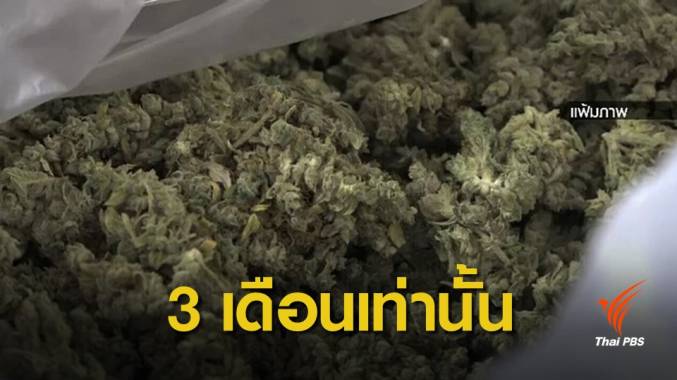 อย.ให้ผู้ป่วยครอบครองกัญชาได้อีก 3 เดือน หลังแจ้งนิรโทษ