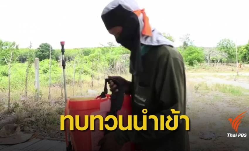 "ไบโอไทย" เรียกร้องรัฐบาลใหม่ทบทวนนำเข้ายาฆ่าหญ้า