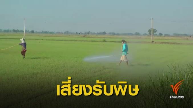 รับจ้างฉีดยาฆ่าแมลง "ชีวิต" บนความเสี่ยงโรคเนื้อเน่า