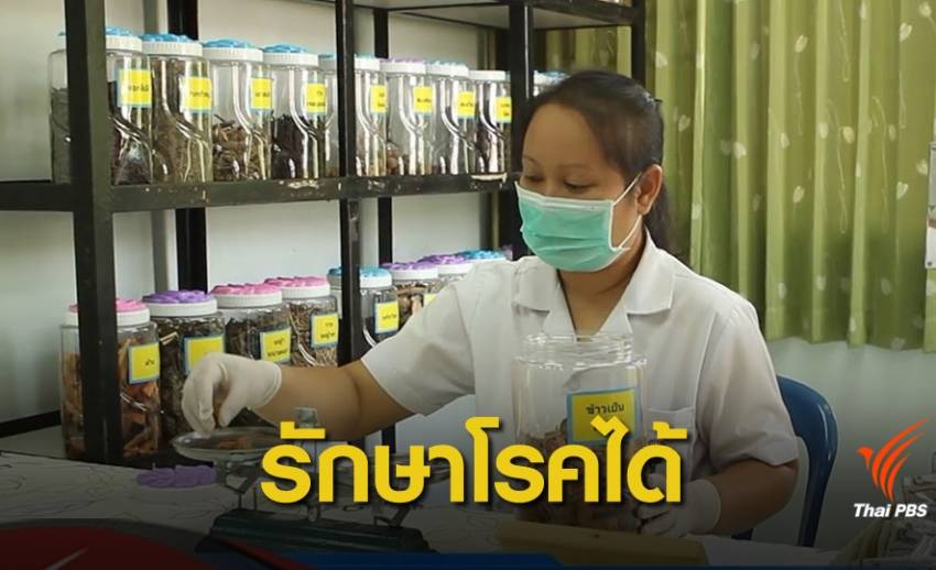 เริ่มใช้! ใบอนุญาต "หมอพื้นบ้าน" รักษาโรคภูมิปัญญาแพทย์แผนไทย