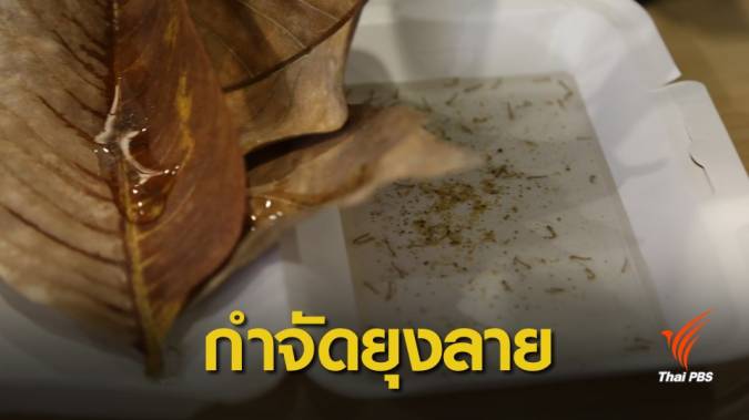 5 เดือนป่วยไข้เลือดออกพุ่งกว่า 2 หมื่นคนเสียชีวิต 25 คน