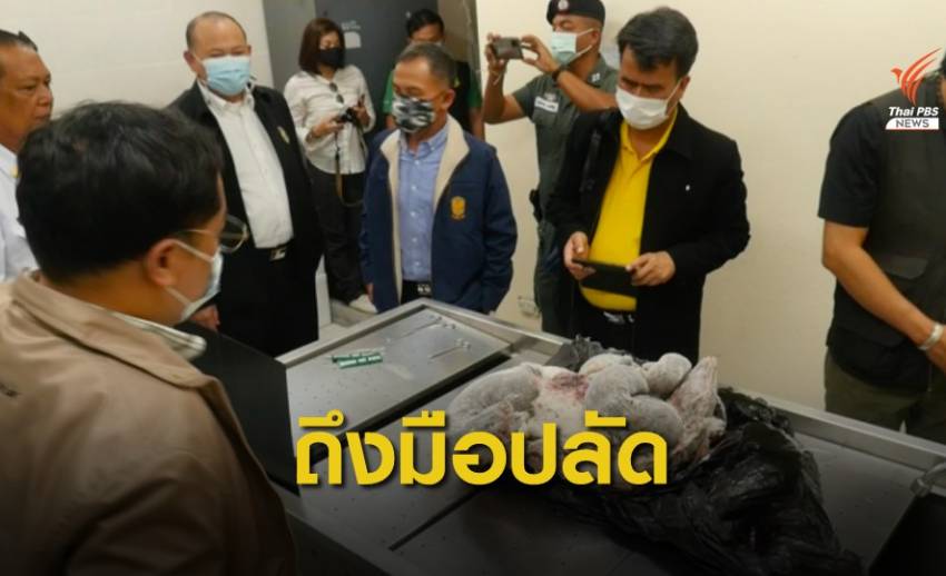 ข้อมูลชุดแรกสอบปม "เก้งเผือก-สวนสัตว์สงขลา" ถึงปลัดทส.
