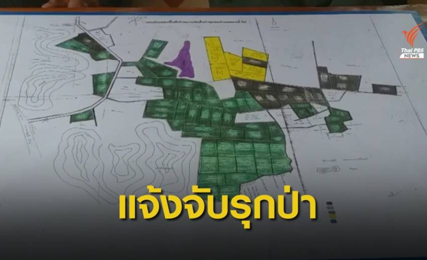 "กรมป่าไม้" แจ้งความแม่ธนาธร รุกป่า 450 ไร่-เพิกถอนอีก 2,000 ไร่