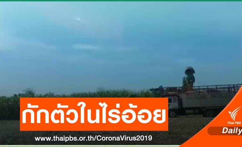 เสนอกักตัวในไร่อ้อยแก้ปัญหานำเข้าแรงงานกัมพูชา