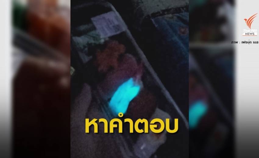 ยังไม่ชัด! "ซูชิเรืองแสง" คาดปนเปื้อนเชื้อจุลินทรีย์เรืองแสง