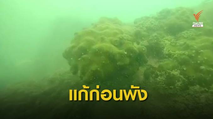 "กรมเจ้าท่า" รับดินเลนขุดลอกร่องน้ำถมปะการังเกาะหนู-เกาะแมว