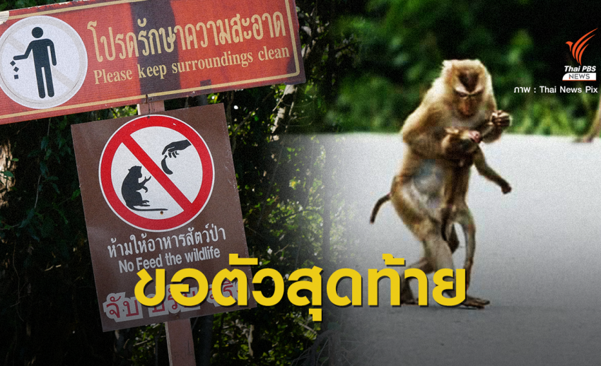 ขอเหยื่อตัวสุดท้าย สังเวย "ชีวิตสัตว์ป่า" ถูกรถชนตาย