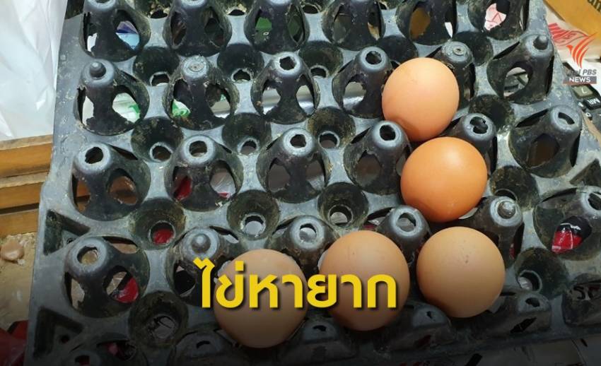 พิษ พ.ร.ก. ประชาชนแห่ซื้อไข่ไก่จนขาดตลาด 