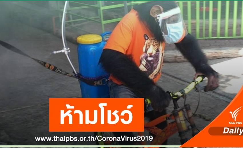 สั่งห้ามใช้ "ชิมแปนซี" ฉีดพ่นน้ำยาฆ่าเชื้อในสวนสัตว์