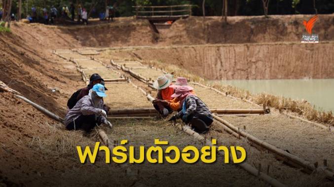 โครงการฟาร์มตัวอย่างตามพระราชดำริฯ ฟื้นฟูอาชีพสู้ COVID-19