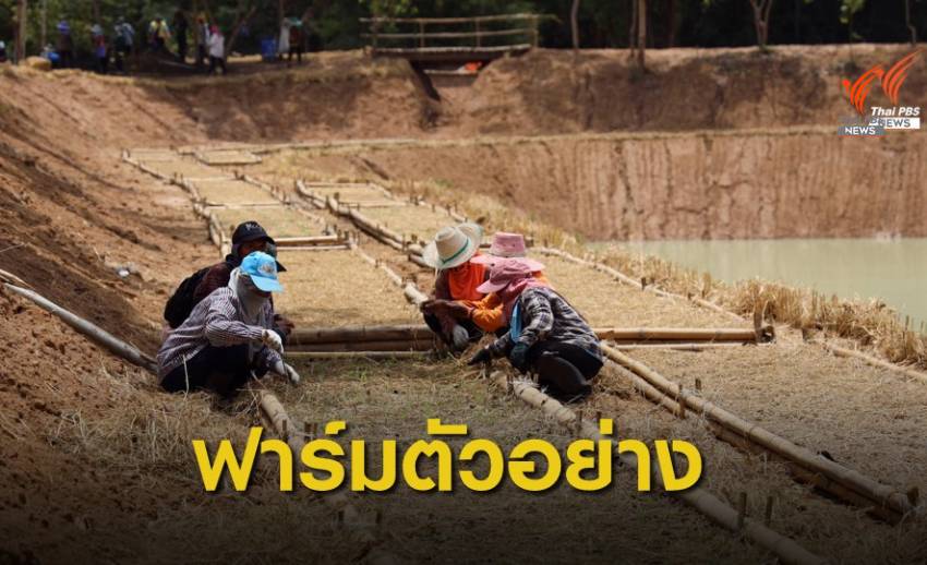 โครงการฟาร์มตัวอย่างตามพระราชดำริฯ ฟื้นฟูอาชีพสู้ COVID-19