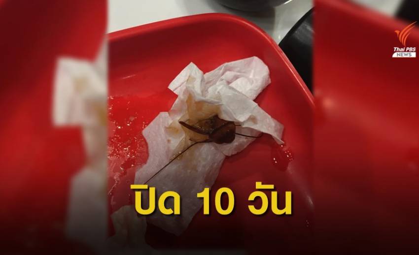 ปิด "สุกี้ตี๋น้อย" สอบปมขัดแย้งในร้าน-แมลงสาบโผล่