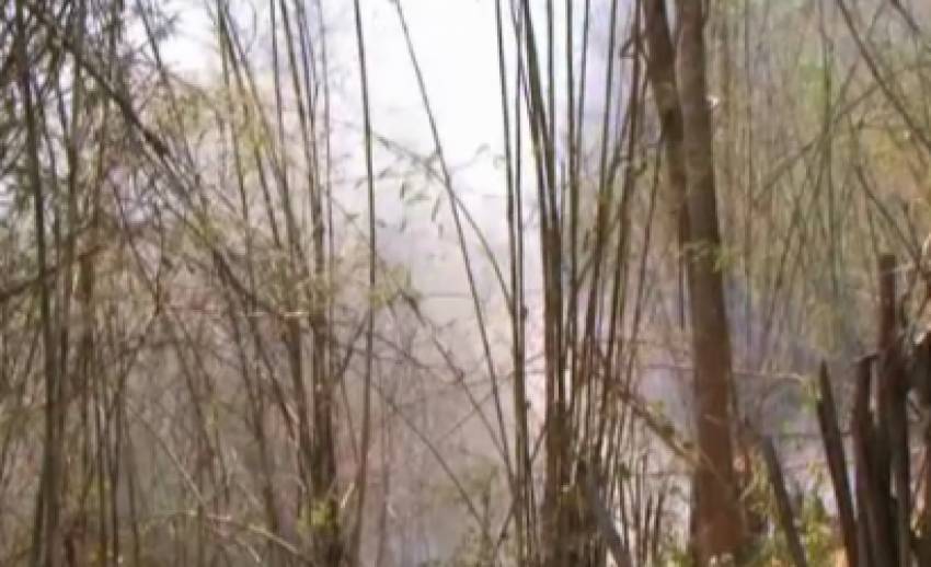  เกิดไฟป่าสวนผึ้ง จ.ราชบุรี เสียหายกว่า10,000 ไร่
