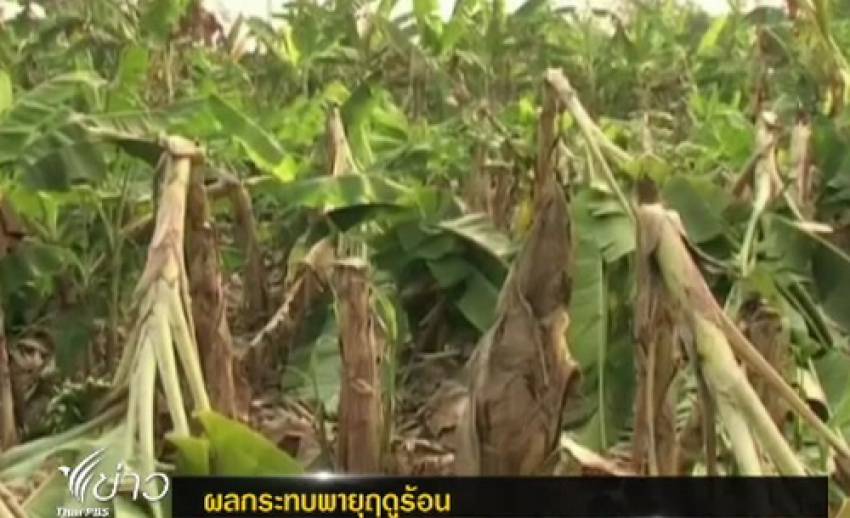 เจ้าหน้าที่เร่งช่วยเหลือประชาชนที่ประสบภัยจากพายุลูกเห็บใน จ.เชียงราย