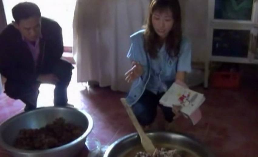 ปศุสัตว์น่านสอบสาเหตุชาวเขา "เผ่าม้ง" กินหมูดิบท้องเสียจำนวนมาก