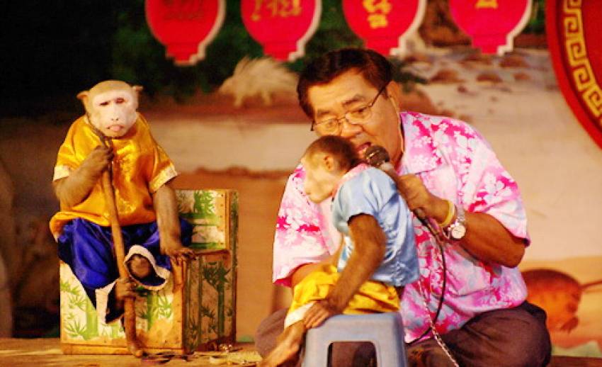 “ปัญญา” ภูมิใจจะได้แสดงละครลิงต่อหน้าพระพักตร์ “ในหลวง-สมเด็จพระเทพฯ”