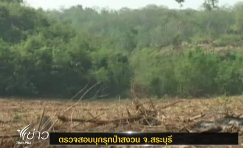 ป่าไม้ลงพื้นที่ตรวจสอบบุกรุกป่าสงวน จ.สระบุรี