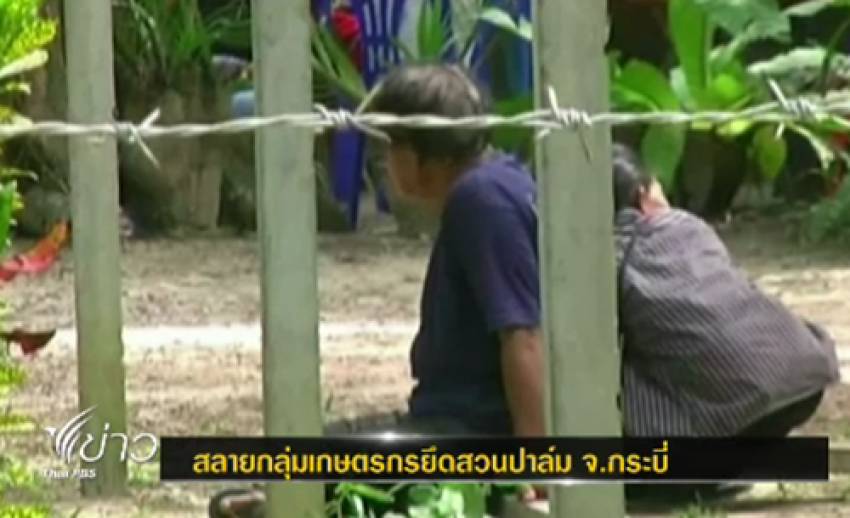 กรมป่าไม้ เตรียมกำลังตำรวจกว่า 1,000 นาย ผลักดันเกษตรกรผู้ปลูกปาล์มออกจากพื้นที่