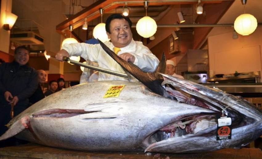 ประมูลทูน่าญี่ปุ่นราคาสูงเป็นประวัติการณ์ ด้วยมูลค่ากว่า 50 ล้านบาท