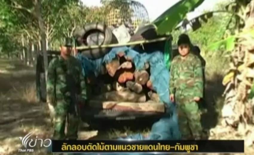 เจ้าหน้าที่จับชาวกัมพูชาลักลอบตัดไม้พะยูงใน จ.ศรีสะเกษ