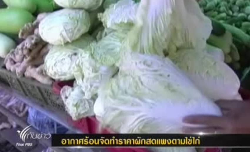 อากาศร้อนจัดทำราคาผักสดเริ่มปรับราคาขึ้น ตามไข่ไก่