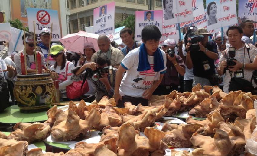 "ผู้เลี้ยงสุกร"ค้านรัฐบาลนำเข้าสุกรจาก"สหรัฐฯ" หวั่นกระทบผู้เลี้ยงในประเทศ