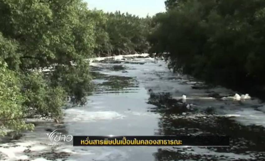 ชาวบ้านร้อง"ไทยพีบีเอส"ตรวจสอบน้ำในคลองพานทอง จ.ฉะเชิงเทรา หวั่นสารพิษปนเปื้อน