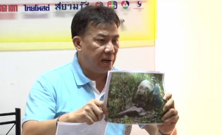 นักอนุรักษ์ช้างไทย เชื่อช้างถูกฆ่าหวังสร้างความขัดแย้ง "เจ้าหน้าที่-ชาวบ้าน"