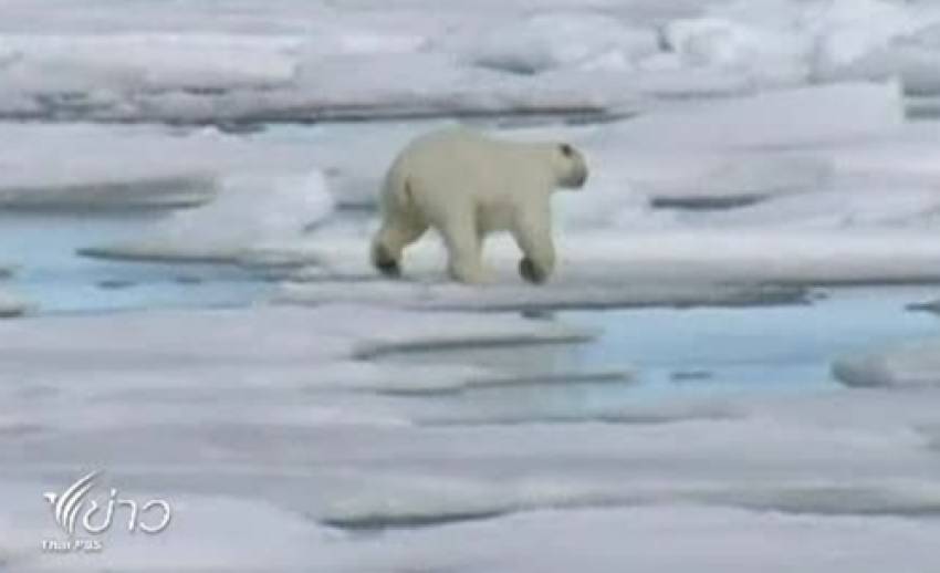 นานาประเทศร่วมประชุมวิกฤตการณ์น้ำแข็งละลายในขั้วโลกเหนือ