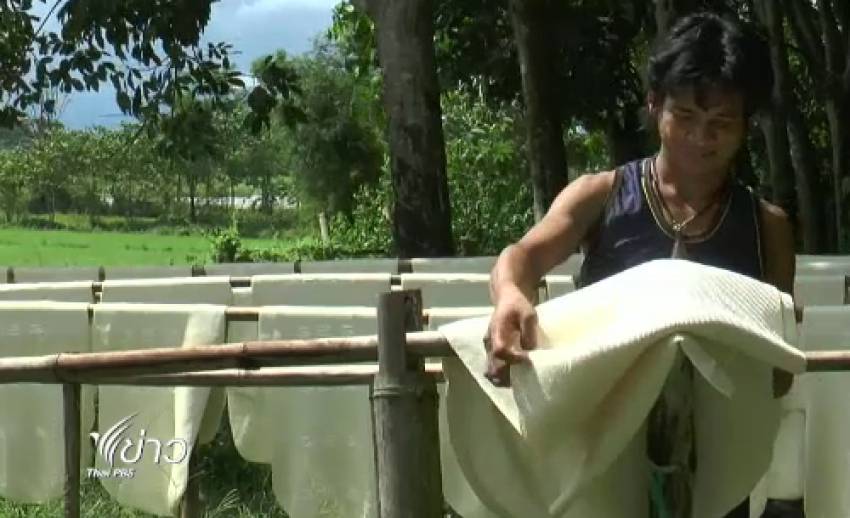 เกษตรและสหกรณ์ เตรียมดันยางไทย "ศูนย์กลางอาเซียน" หวังแก้ราคาระยะยาว