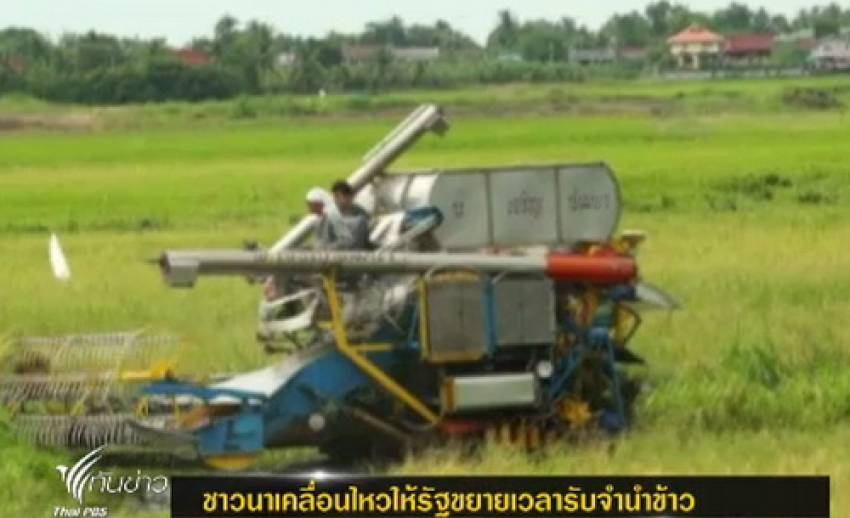 ชาวนา จ.อ่างทอง เตรียมเคลื่อนไหวให้รัฐขยายเวลารับจำนำข้าว
