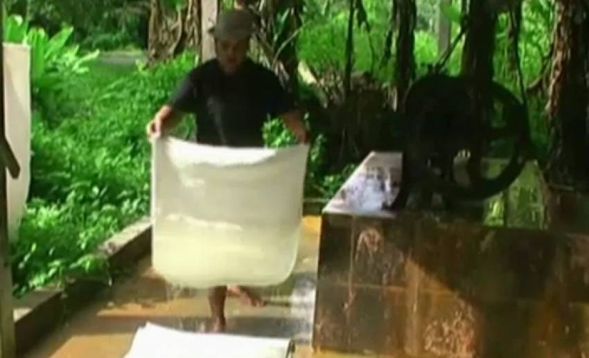 เครือข่ายชาวสวนยางเตรียมหารือกับตัวแทนรัฐบาล ช่วยเหลือลูกจ้างกรีดยาง