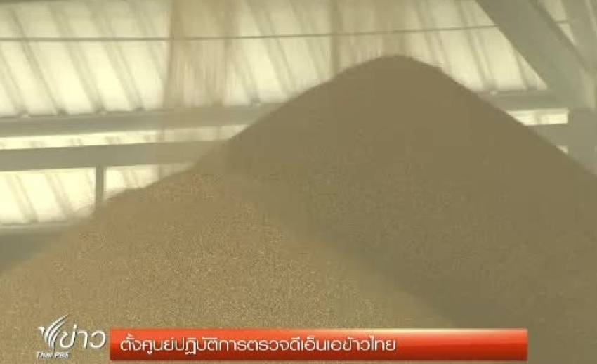 "กระทรวงพาณิชย์"ทุ่ม 60 ล้าน ตั้งศูนย์ตรวจดีเอ็นเอ"ข้าวไทย"