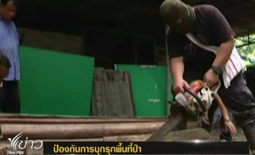 "วิเชษฐ์"กำชับจนท.ป้องกันปัญหา"บุกรุกป่า"ภาคเหนือ