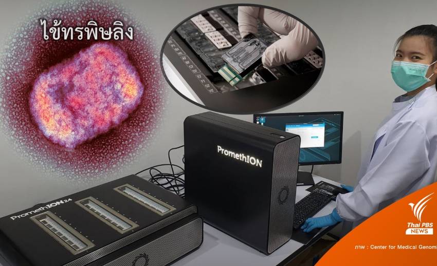 ศูนย์จีโนม ถอดรหัสพันธุกรรม "ฝีดาษลิง" คาด 2 สัปดาห์มีชุดตรวจ