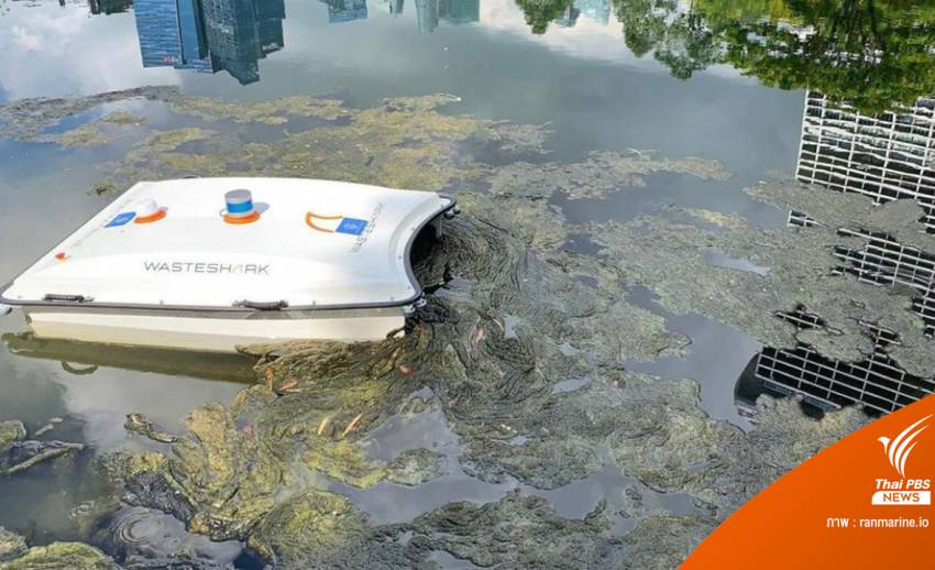 เนเธอร์แลนด์พัฒนา หุ่นยนต์ฉลาม ช่วยเก็บขยะและวัดคุณภาพน้ำ