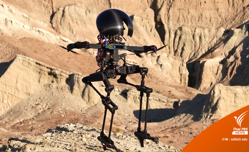 LEONARDO หุ่นยนต์รูปแบบใหม่ เดินและบินได้แบบโดรน