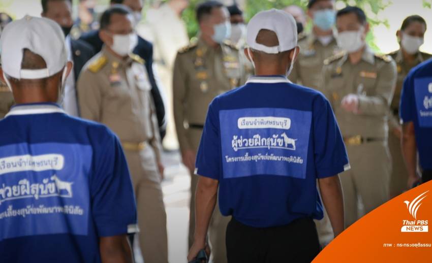 "สมศักดิ์" ผุดไอเดียเลี้ยงหมาในเรือนจำขัดเกลาจิตใจผู้ต้องขัง