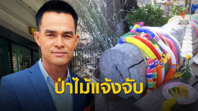 แจ้งอีก 1 คดี "ลุงพล" ครอบครองไม้หวงห้าม "มะค่าแต้"