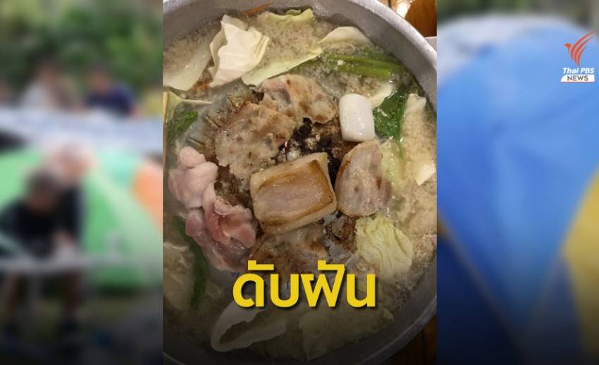 "เขาใหญ่" ดับฝันกินหมูกระทะ ชี้กลิ่นดึงสัตว์-รบกวนนักท่องเที่ยว