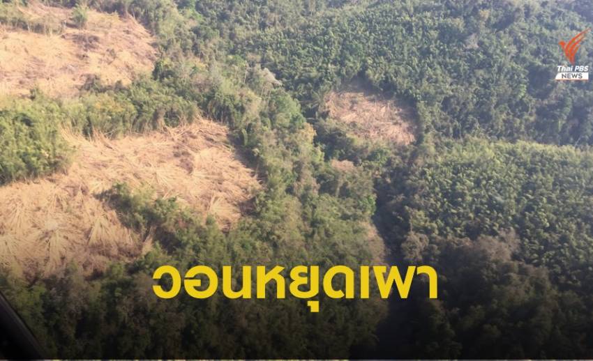 “วราวุธ” วอนหยุดเผา "ป่าแก่งกระจาน" เตรียมชงข้อมูล เข้าครม.