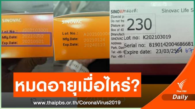โซเชียลกังขา! วันหมดอายุวัคซีน Sinovac 6 เดือน 1 ปี หรือ 3 ปี ?