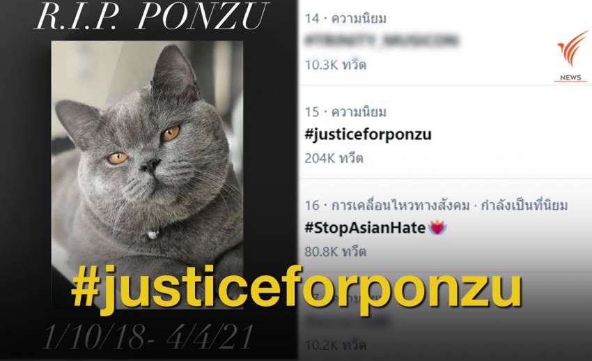 #justiceforponzu แมวตาย - หญิงไทยถูกทำร้ายในสหรัฐฯ คดีไม่คืบ