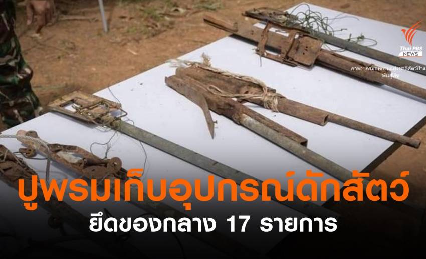 ปูพรมเก็บอุปกรณ์ดักสัตว์รอบเขาใหญ่ พบของกลาง 17 รายการ