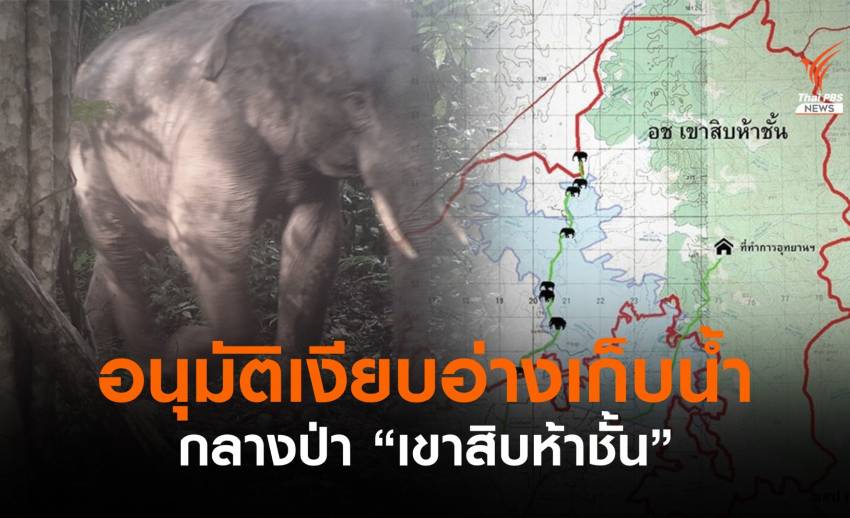 กังขา! บอร์ดสวล.ผ่าน EHIA อ่างเก็บน้ำกลางป่า "เขาสิบห้าชั้น"